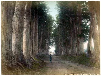 Route d