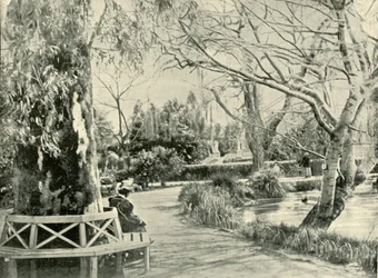 Dans les jardins botaniques, Adélaïde, 1901