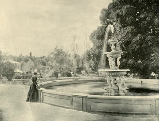 Dans les jardins botaniques, Adélaïde