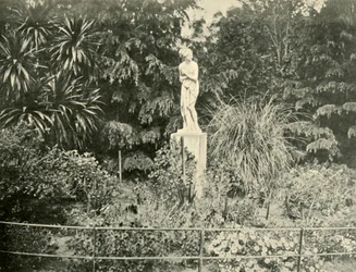Dans les jardins de Fitzroy, Melbourne, 1901