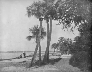 Indian River, Floride, vers 1897
