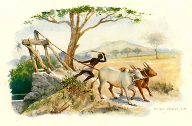 Élévateur à eau indien