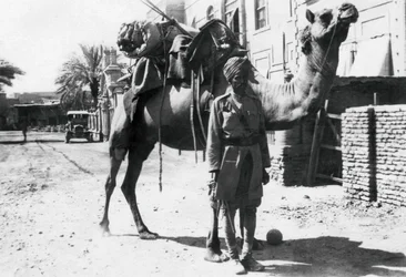 Cavalier indien à dos de chameau, Bagdad, 1918