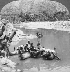 Peaux de bœufs gonflées utilisées comme bateaux sur la rivière Sutlej, Pendjab, Inde, vers 1900