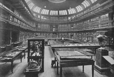 Intérieur du Musée géologique, rue Jermyn, 1904