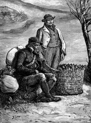 Agriculteurs irlandais ramenant leurs pommes de terre de semence, 1888