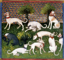 Chiens de chasse / Livre de la Chasse
