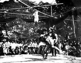 Sumo japonais, Corée, 1900