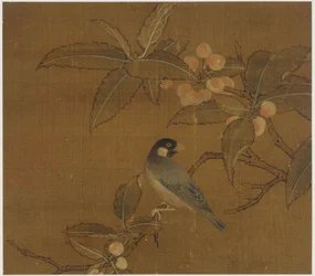 Moineau de Java sur une branche de baies, dynastie Ming, 15ème siècle