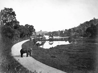 Lac de Kandy, Kandy, Sri Lanka, vers 1910