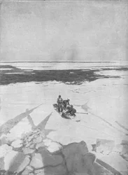 Chasse aux phoques, 1911, 1928