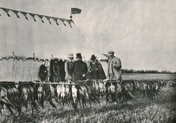 Le roi Édouard VII inspectant le gibier à Sherborne Estate, 1902, 1910
