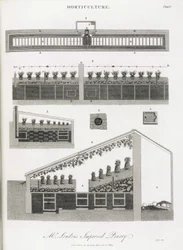 La serre de culture des ananas, élévation et coupe du bâtiment