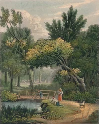 Lambert, 19ème siècle