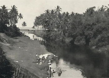 Paysage au bord de la rivière près de Dehiwala, entre Colombo et Mount Lavinia, 1926