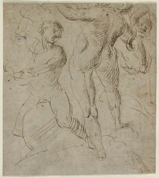 Laocoon recto
