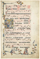 Feuille extraite d