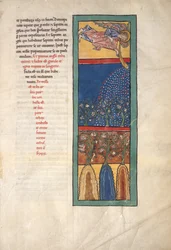 Feuille d