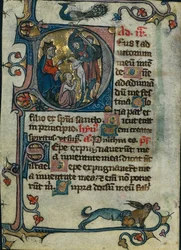 Feuille d