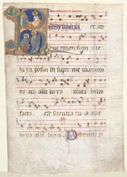 Feuille d