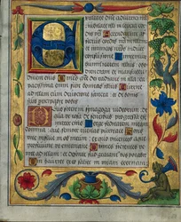 Feuille d