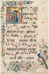 Feuille d