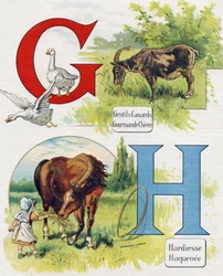 Lettres G et H : Bons canards, chèvre gourmande, audace et Haquenée. Gravure dans « ABC L