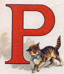 Lettre P : petit chat. Gravure dans « ABC L
