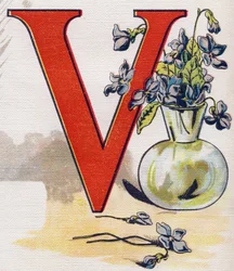 Lettre V : vase avec des violettes. Gravure dans "ABC L