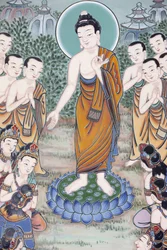 Vie du Bouddha, Séoul, Corée du Sud