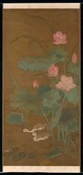 Lotus et oiseaux aquatiques