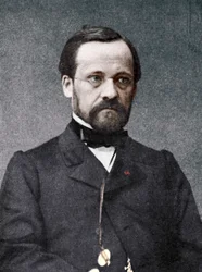 Louis Pasteur, microbiologiste et chimiste français, 19e siècle