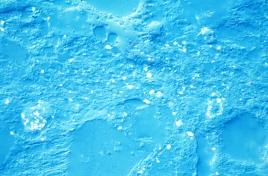 Minéraux, mudstone LM