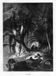 Rivière Madeira, Amérique du Sud, 19e siècle