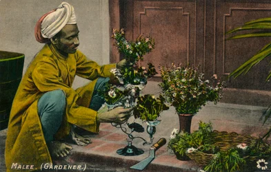 Jardinier Malee, vers 1900