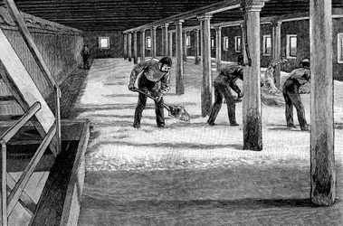 Salle de maltage dans une brasserie américaine, 1885