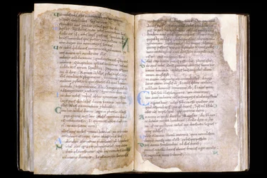 Manche N* 066, Ville de Mortain, Trésor de la collégiale Saint Evroult, Évangéliaire du 10ème s.