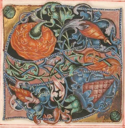 Enluminure de manuscrit avec initiale S, d