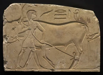 Hommes liant un bœuf, 667-647 av. J.-C.