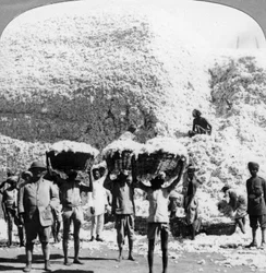 Hommes portant des paniers de coton dans une filature de coton à Indore, Inde