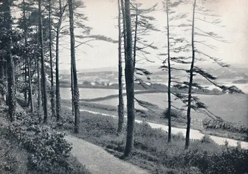 Menai - Depuis Bangor Wood, 1895