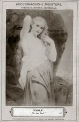Merle, 19ème siècle