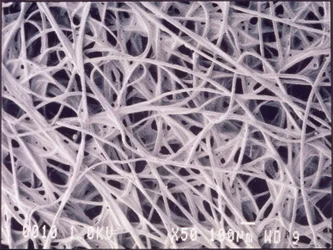 Micrographies (Lumière) Tissu chimicotextile, micrographie en lumière