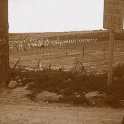 Cimetière militaire, Neuville-Saint-Vaast, nord de la France, vers 1914-1918