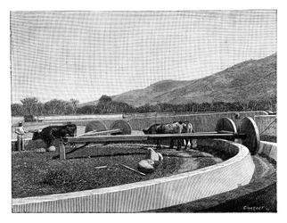 Moulin pour décortiquer le café, Amérique centrale, vers 1890