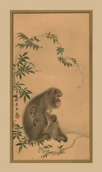 Singe, XIXe siècle, 1886