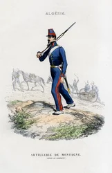Artillerie de montagne, armée française en Algérie