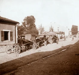 Chariots de mulets avec des provisions, Verdun, nord de la France, vers 1914-1918