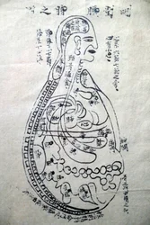 Musée de la médecine traditionnelle vietnamienne, Les canaux et vaisseaux, Livre d