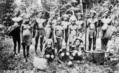 Peuple Naga, Inde, 20e siècle